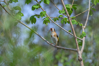 Similar image 21149060