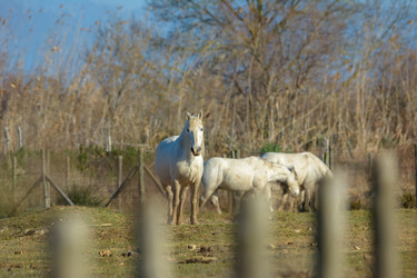 Similar image 21149064