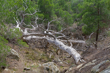 Similar image 21146896