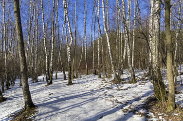 Similar image 21146903