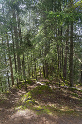 Similar image 21146905