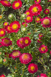 Similar image 21146909