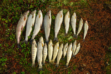 Similar image 21146916