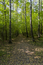 Similar image 21146918