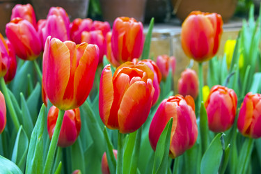 Similar image 21146919