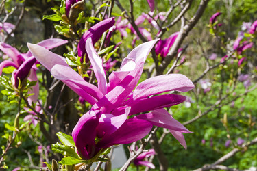 Similar image 21146920