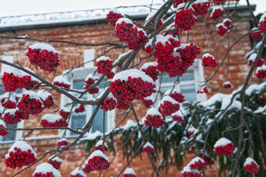 Similar image 21146921