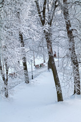 Similar image 21146923