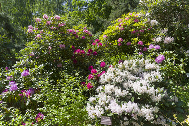 Similar image 21146925