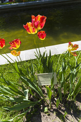 Similar image 21146926