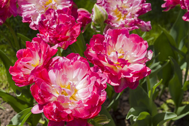 Similar image 21146928