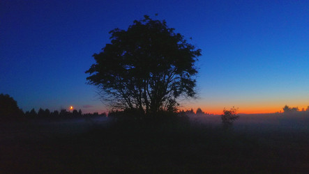 Similar image 21167176