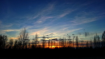 Similar image 21156520