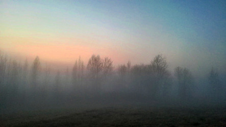 Similar image 21155024