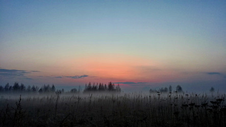 Similar image 21155025