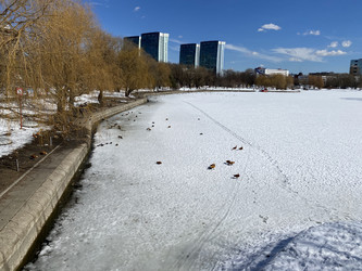 Similar image 21150835