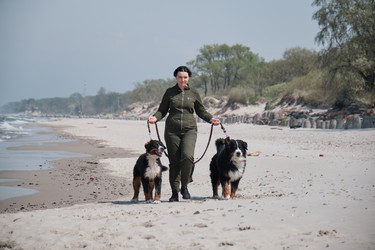 Similar image 21151785