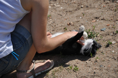 Similar image 21153921