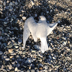 Similar image 21153924