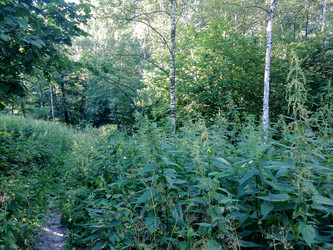 Similar image 21153925