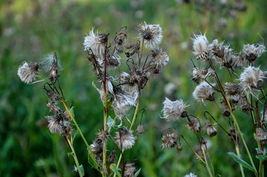 Similar image 21153929