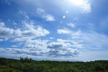 Similar image 21153931