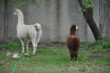 Similar image 21153932