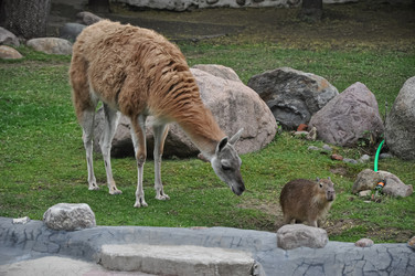 Similar image 21153933