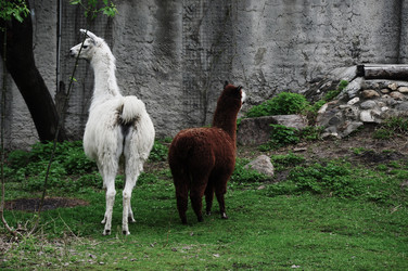 Similar image 21153934