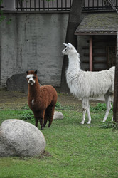 Similar image 21153935