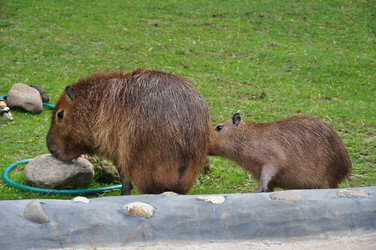 Similar image 21153940