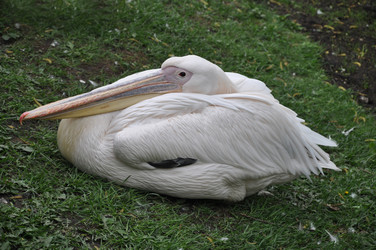 Similar image 21153946