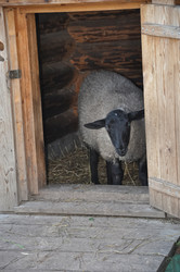 Similar image 21153948