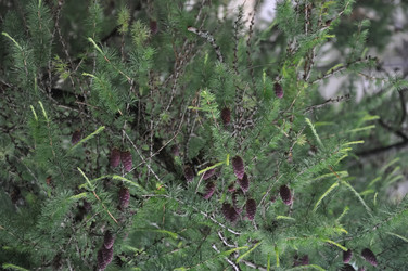 Similar image 21153951