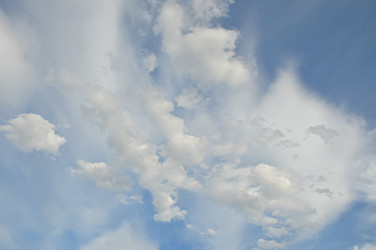 Similar image 21153952