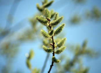 Similar image 21148593