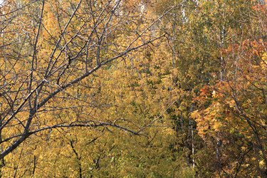 Similar image 21148604