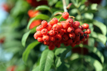 Similar image 21148608