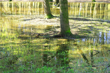 Similar image 21148613