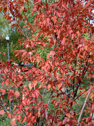 Similar image 21148625