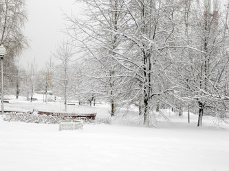 Similar image 21150395