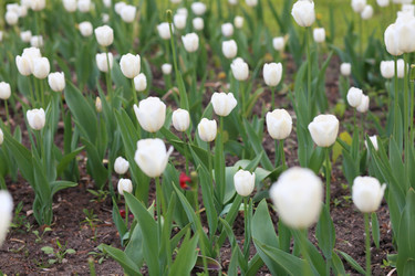 Similar image 21150397