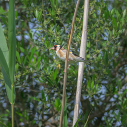 Similar image 21148878