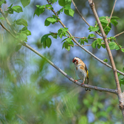 Similar image 21148879