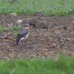 Similar image 21148887