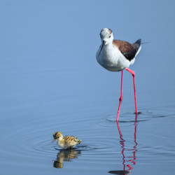 Similar image 21148892