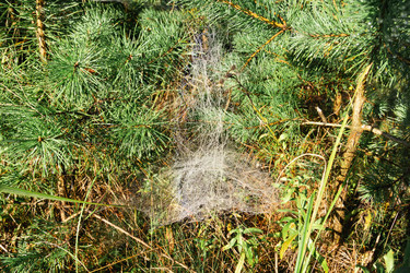 Similar image 21154587