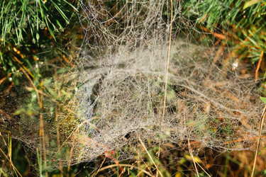 Similar image 21154588