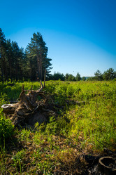 Similar image 21154592