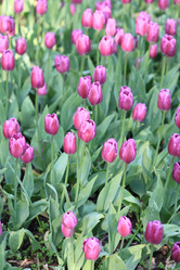 Similar image 21180953